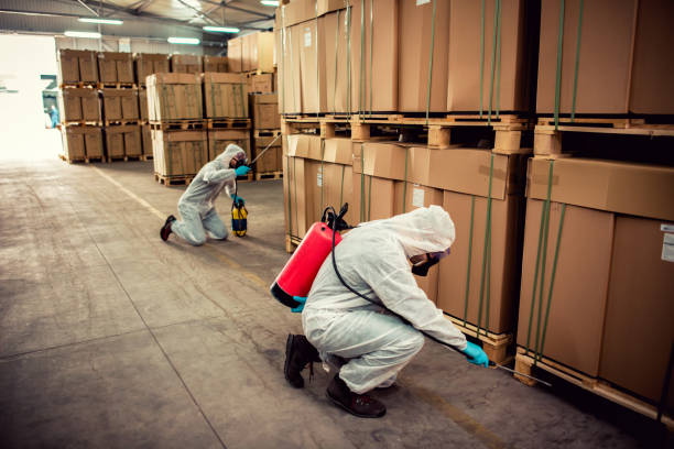 Best Affordable Pest Control Services  in Cypress Lake, FL