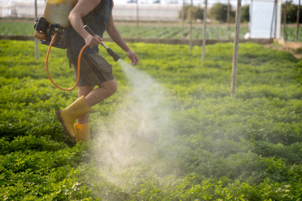 Best Pest Prevention Services  in Cypress Lake, FL