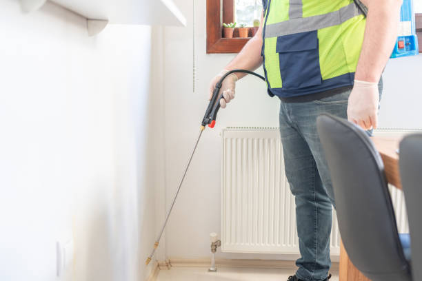 Best Ant Control Services  in Cypress Lake, FL