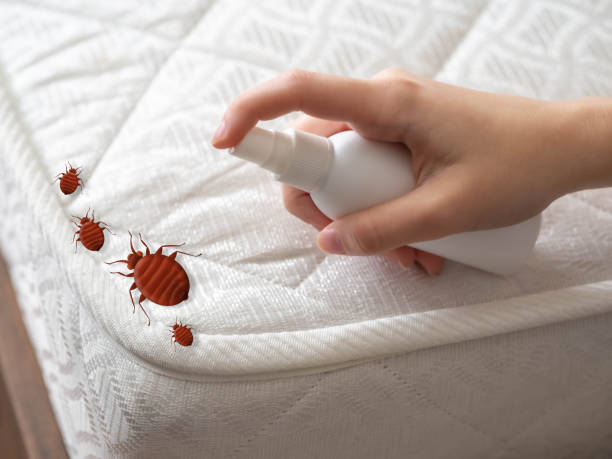 Cypress Lake, FL Pest Control Company