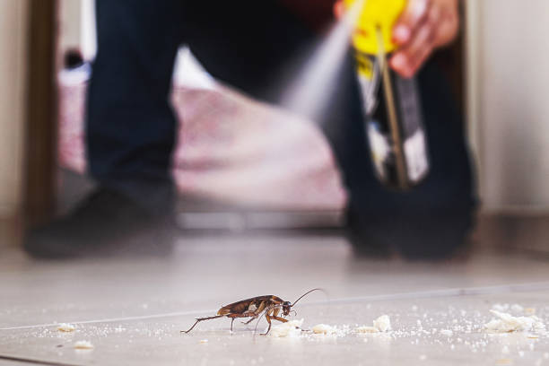 Best Cockroach Control Services  in Cypress Lake, FL