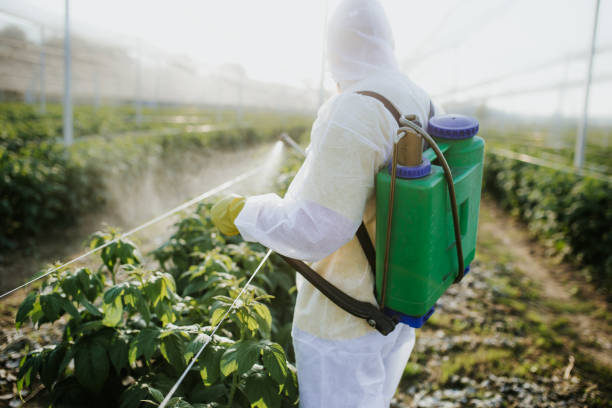 Best Insect Control  in Cypress Lake, FL
